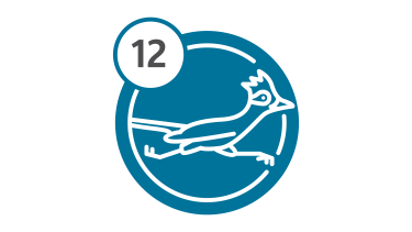 Bus Route 12 - RoadRunner